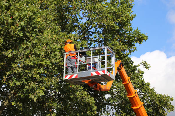 Seasonal Cleanup in Essex Junction, VT